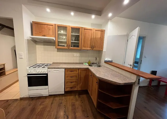 Apartman Invalidovna *