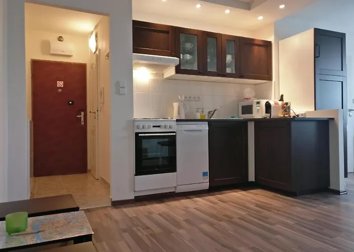Apartament Invalidovna *