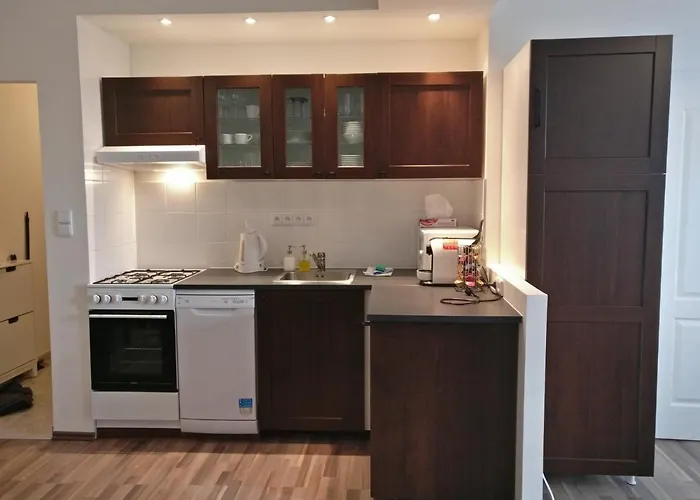 인발리도브나 아파트먼트 프라하